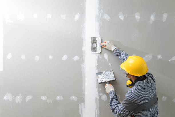 Mold Remediation for Vacation Homes in Coventry Lake, CT