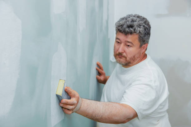 Professional Mold Removal in Coventry Lake, CT