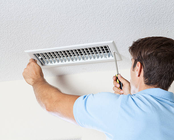Mold Odor Removal Services in Coventry Lake, CT