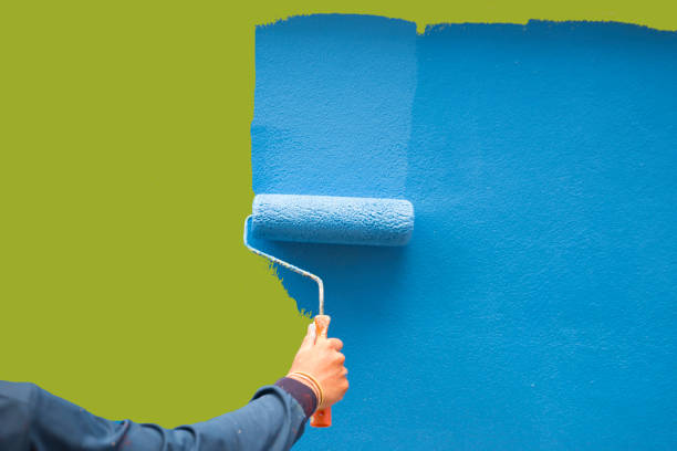Best Emergency Mold Remediation  in Coventry Lake, CT